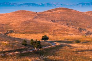 Campo_imperatore_strada_IMG_0437-1.jpg