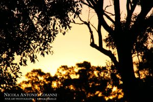 Tramonto_western_australia_3716.jpg